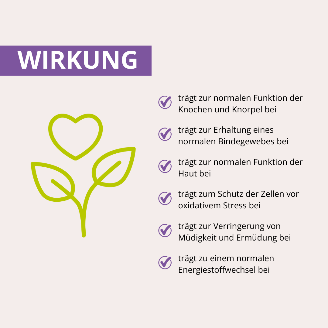 MSM+C Kapseln 180 Stück