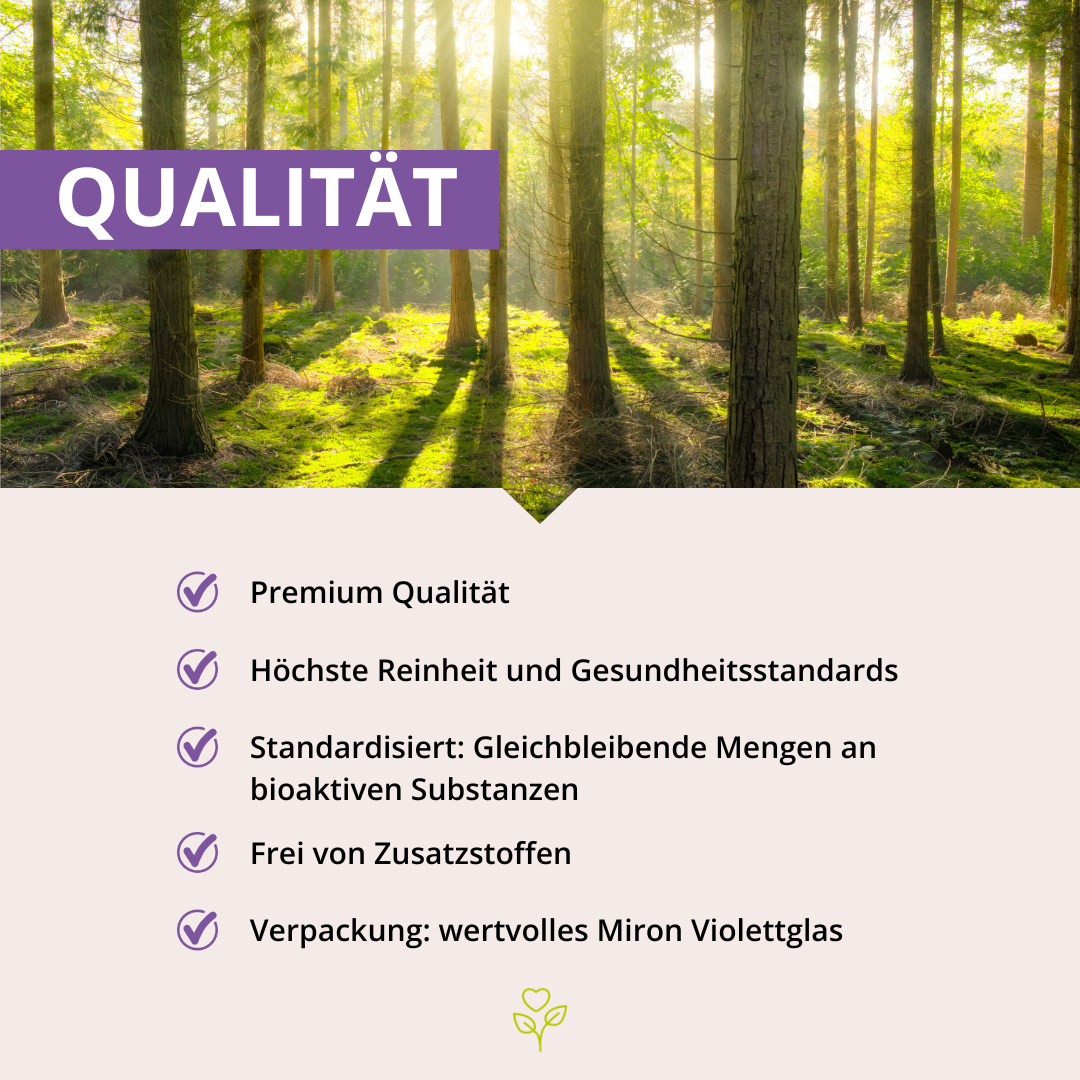 MSM+C Kapseln 180 Stück