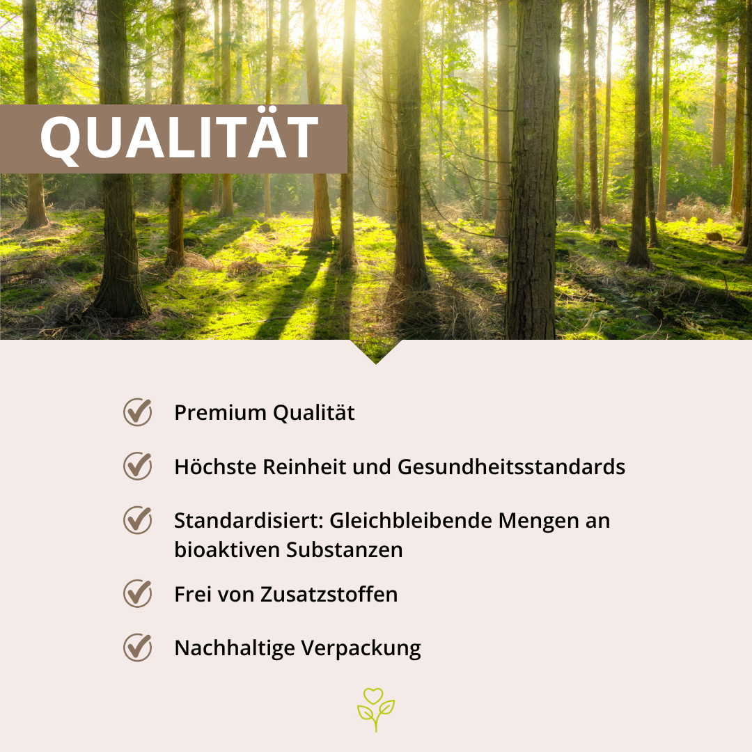 Vitalpilz Kakao 160 g