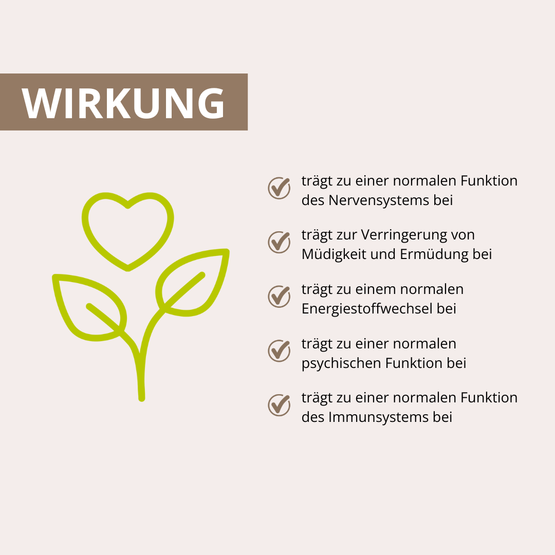 Vitalpilz Kakao 160 g