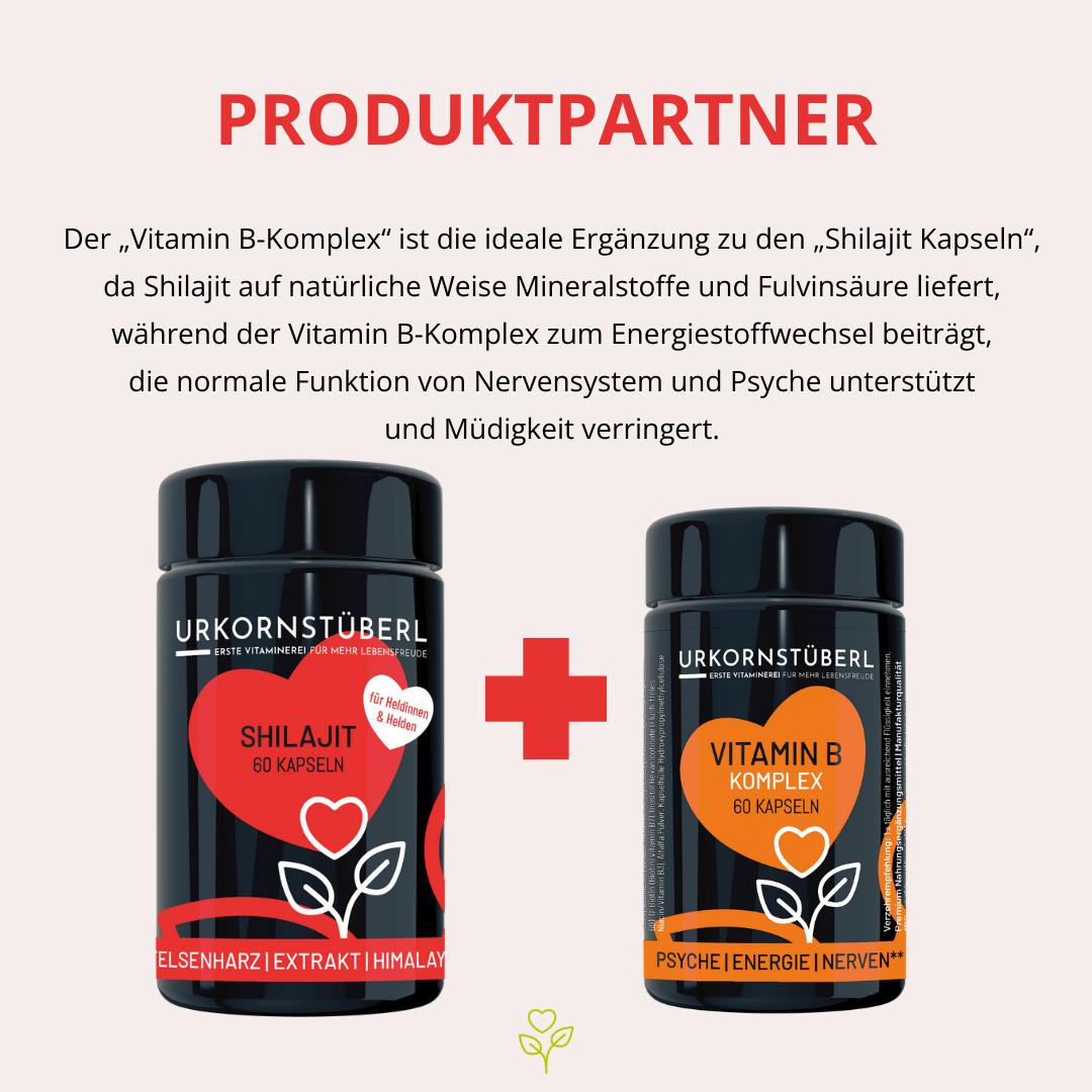 Shilajit für Heldinnen & Helden 60 Kapseln