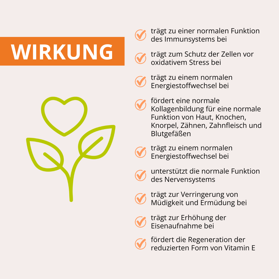 Großes Schwefelset - Innen und Außen