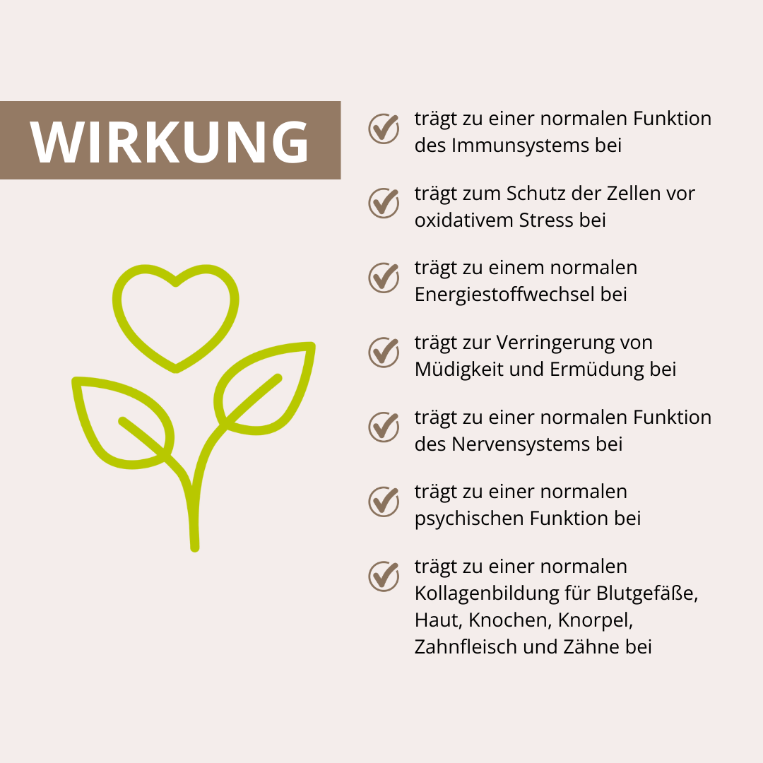 Reishi Vitalpilzextrakt 60 Kapseln