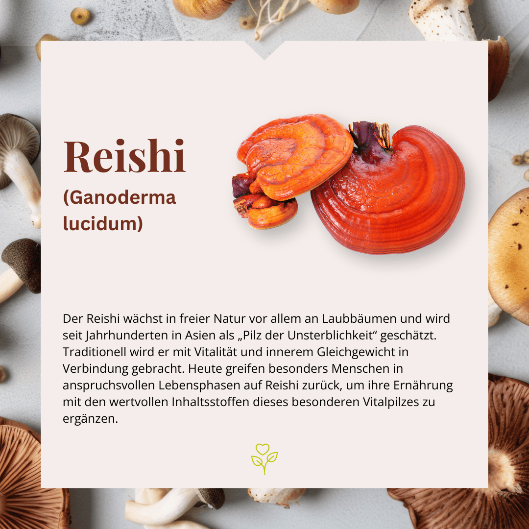 Reishi Vitalpilzextrakt 60 Kapseln