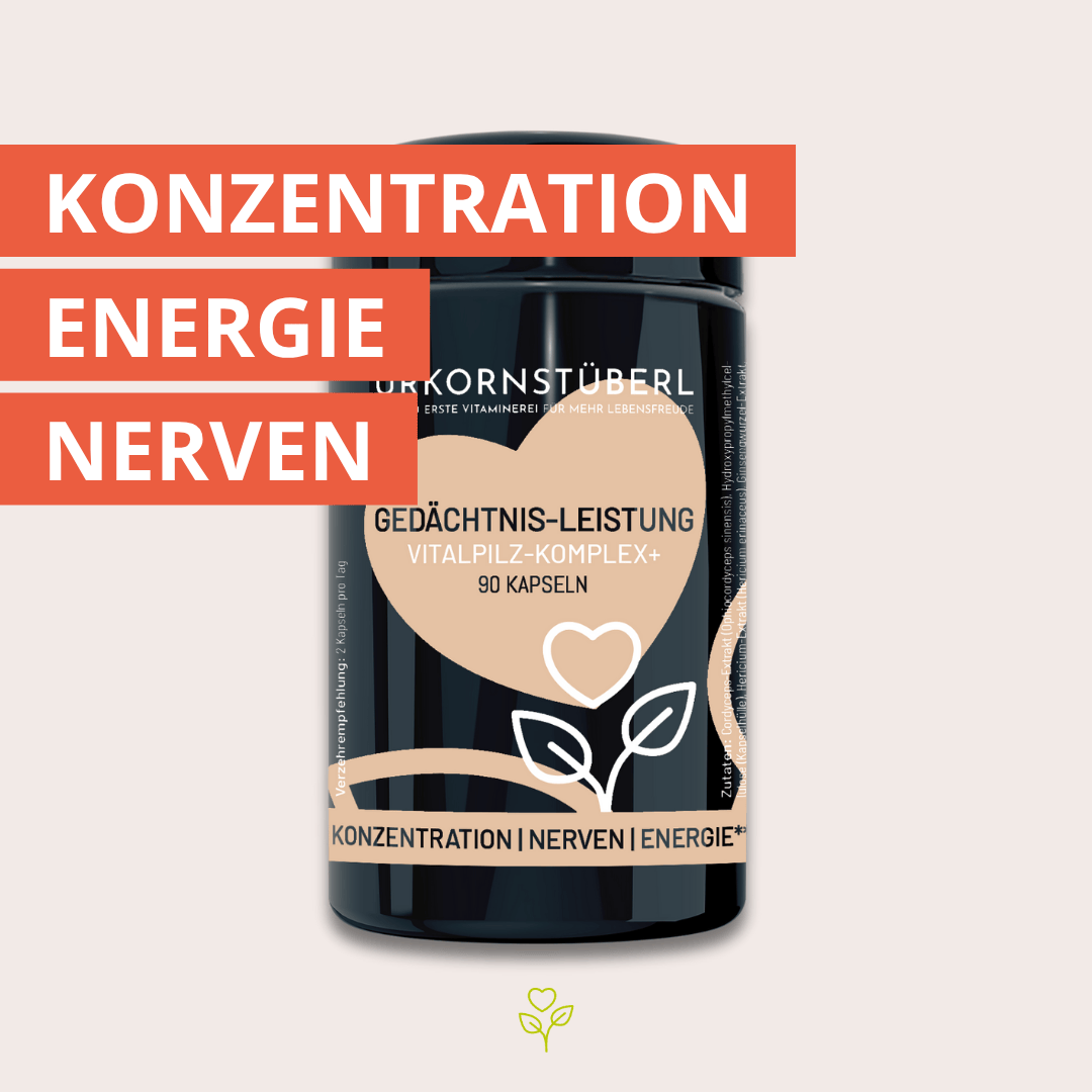 Gedächtnis Leistung Vitalpilz-Komplex+ 90 Kapseln