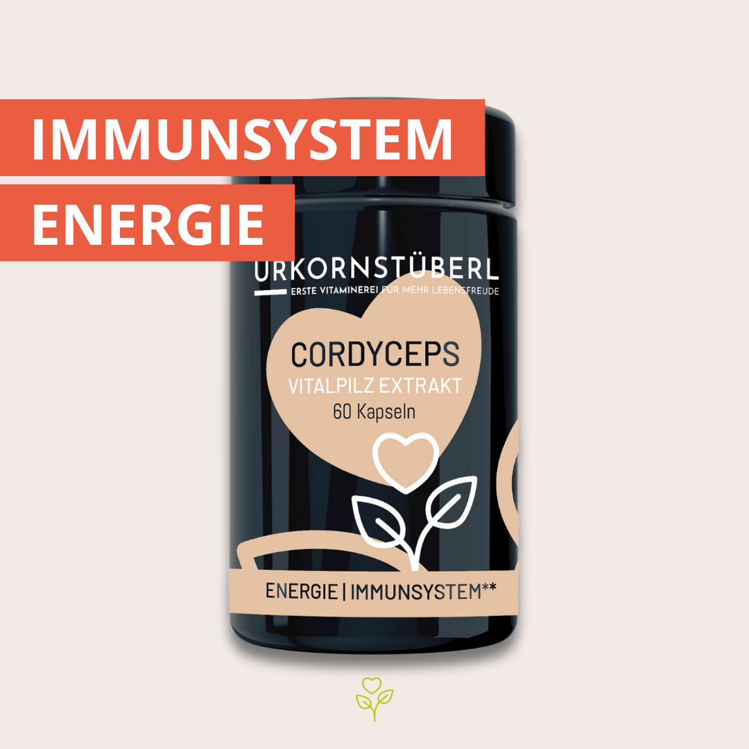 Cordyceps Vitalpilzextrakt 60 Kapseln