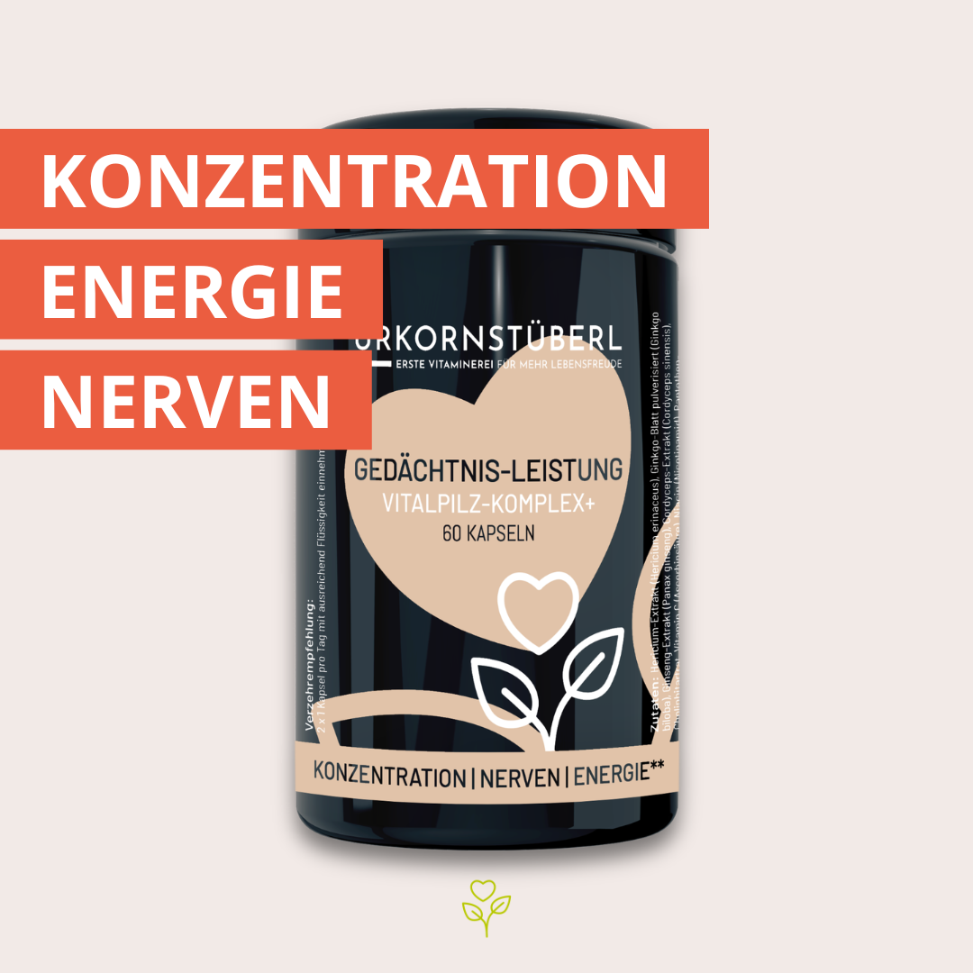 Gedächtnis-Leistung Vitalpilz-Komplex+ 60 Kapseln