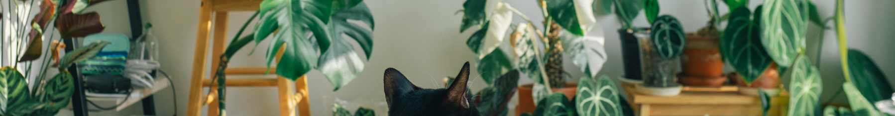Tiere und Pflanzen