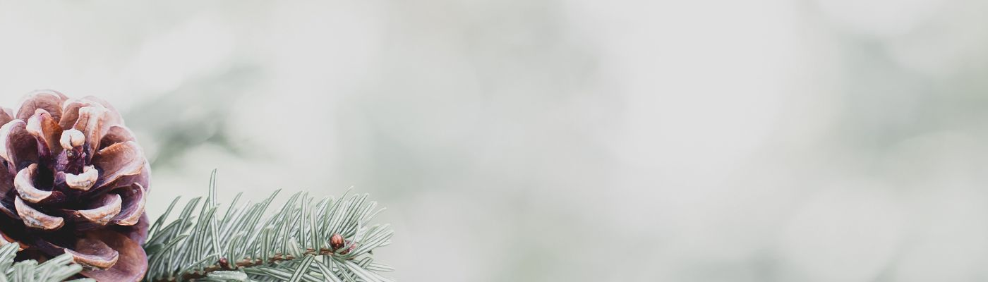 Winter im Urkornstüberl