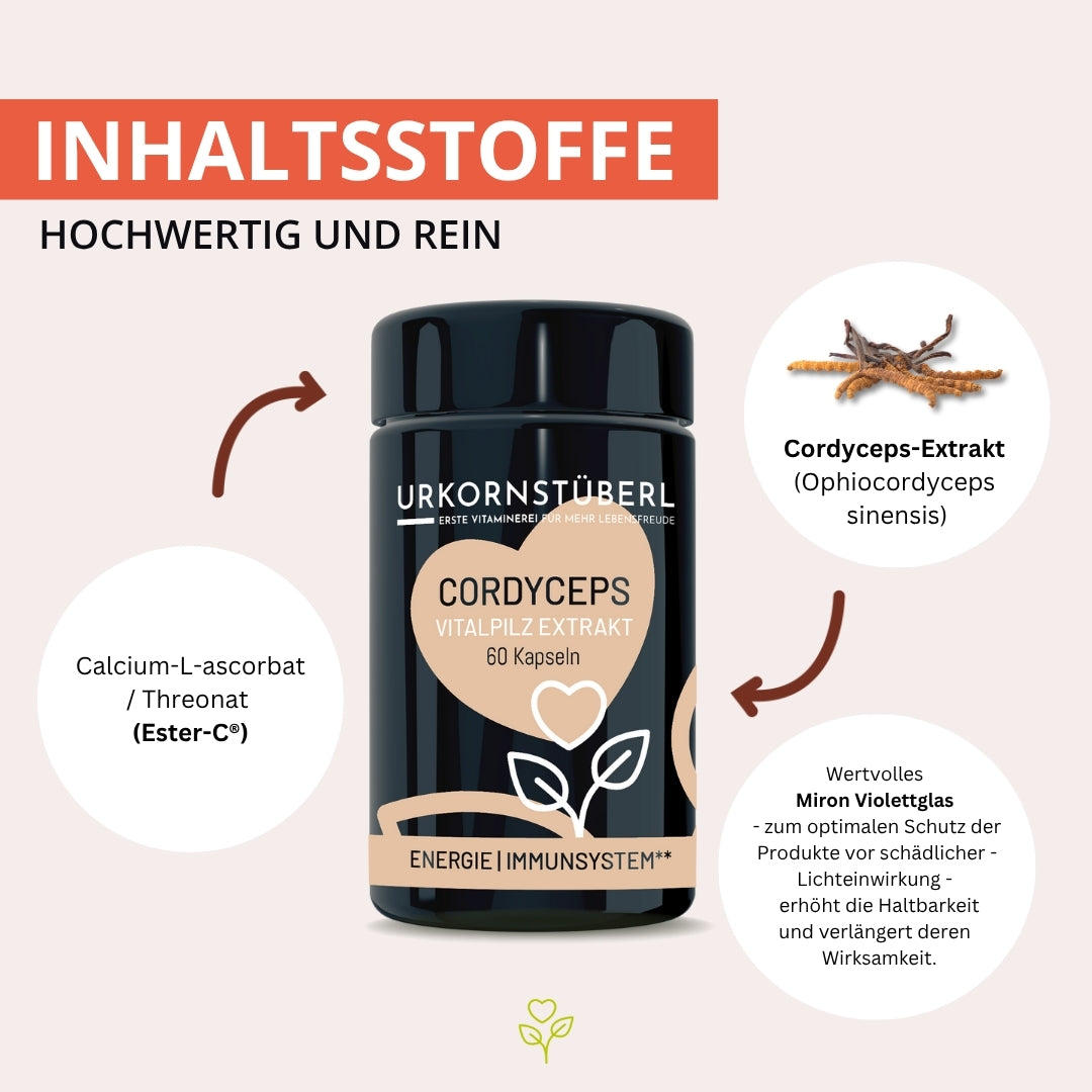 Cordyceps Vitalpilzextrakt 60 Kapseln