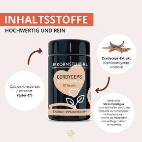 Cordyceps Vitalpilzextrakt 60 Kapseln