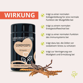 Cordyceps Vitalpilzextrakt 60 Kapseln