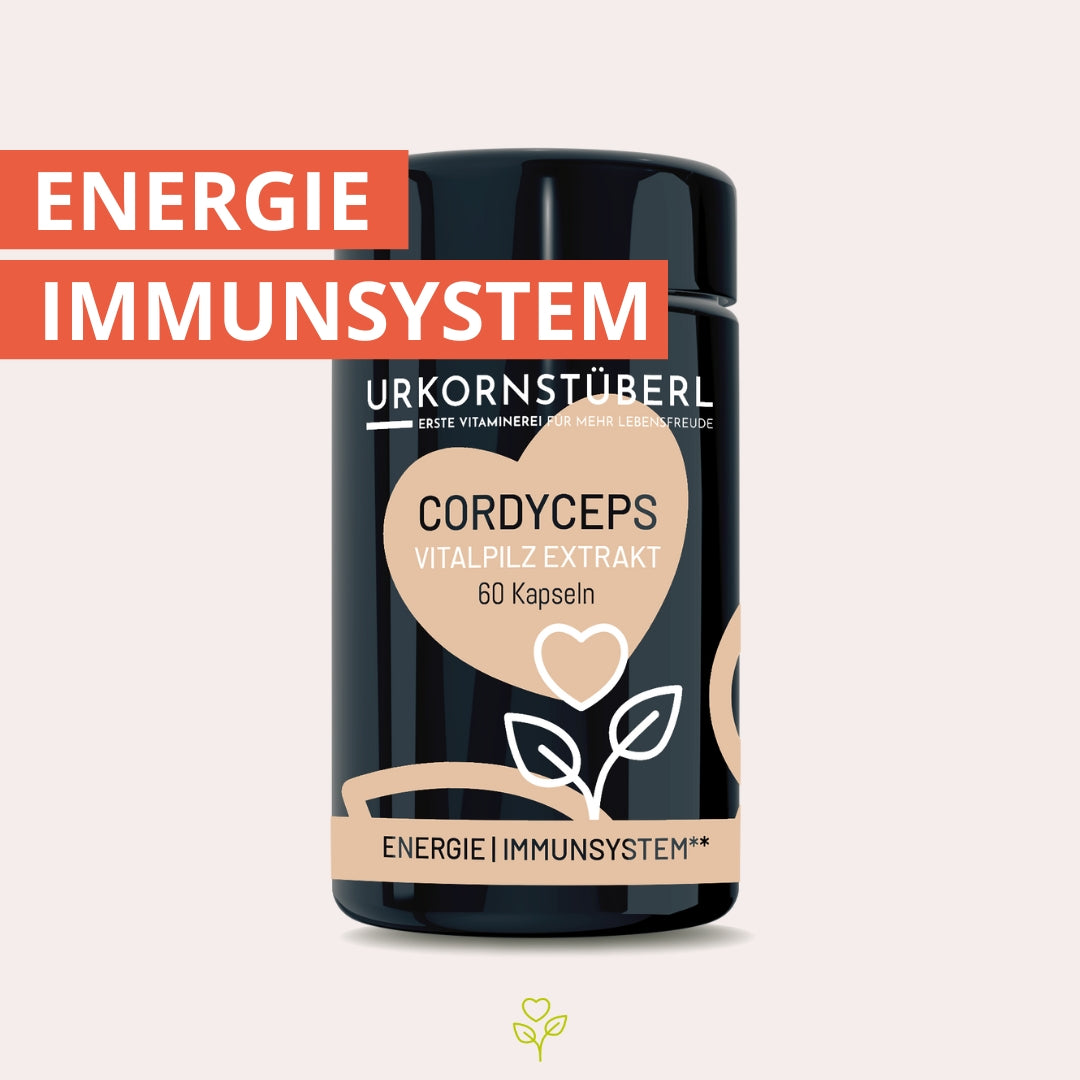 Cordyceps Vitalpilzextrakt 60 Kapseln