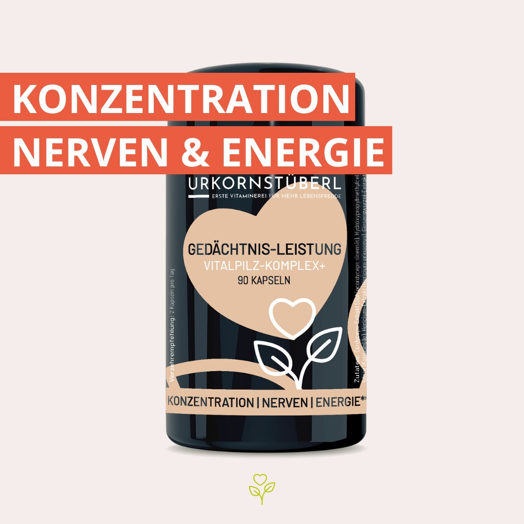 Gedächtnis Leistung Spin