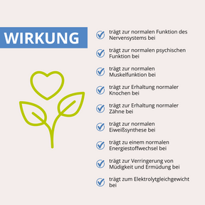 URKORN 1 - Basis - Für immer und ewig