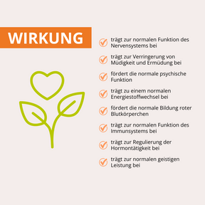 URKORN 1 - Basis - Für immer und ewig