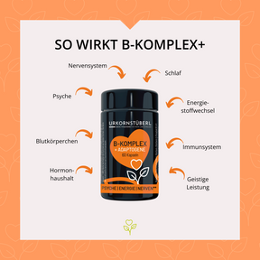 URKORN 1 - Basis - Für immer und ewig