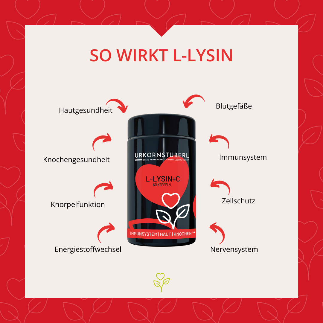 L-Lysin+C 60 Kapseln