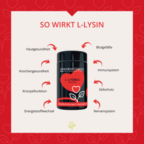 L-Lysin+C 60 Kapseln