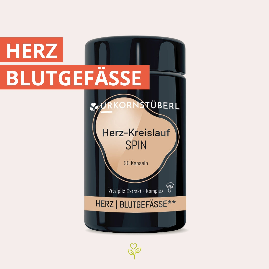 Herz Kreislauf Spin