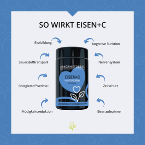 Eisen+C 60 Kapseln