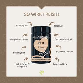 Reishi Vitalpilzextrakt 60 Kapseln