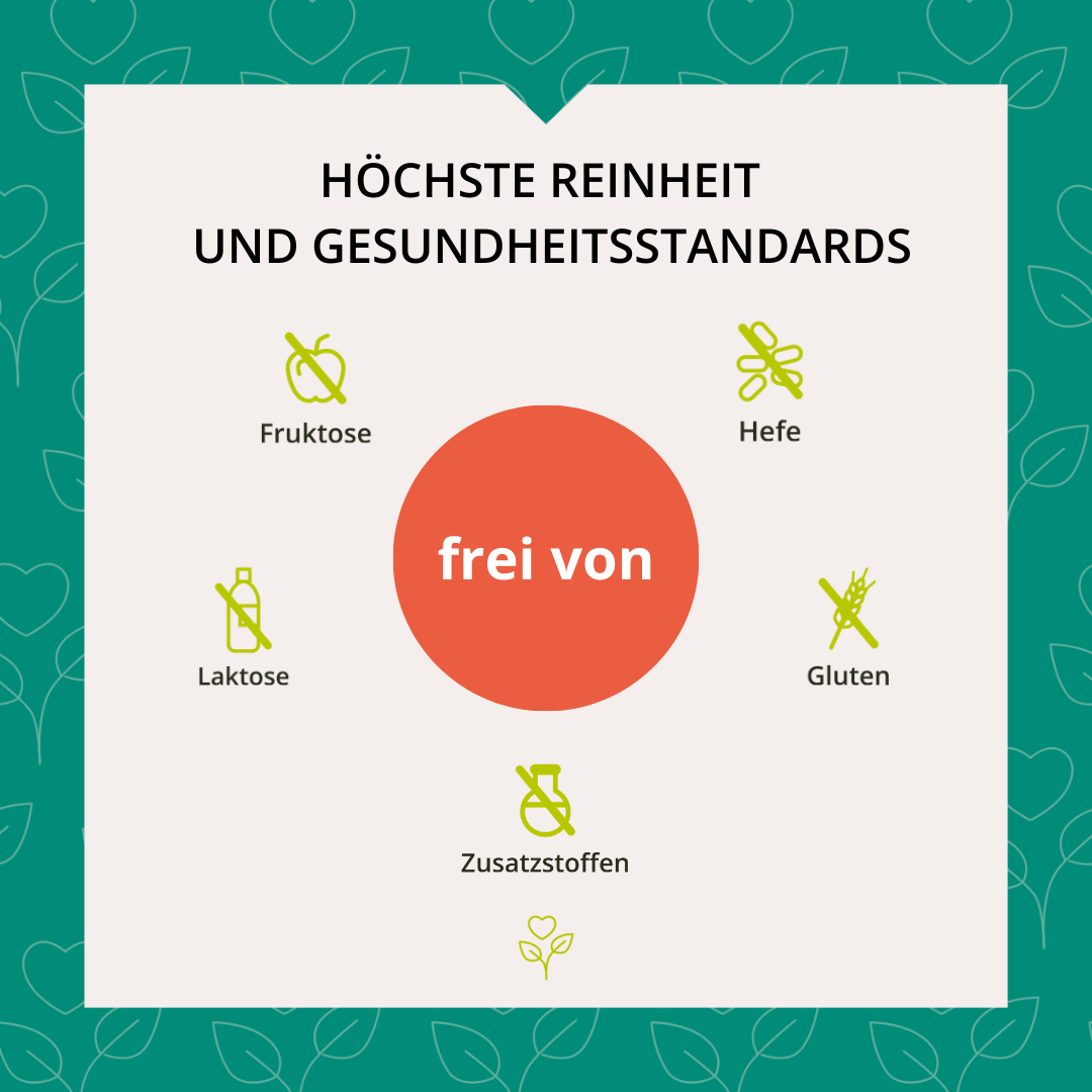 Leber Komplex 60 Kapseln