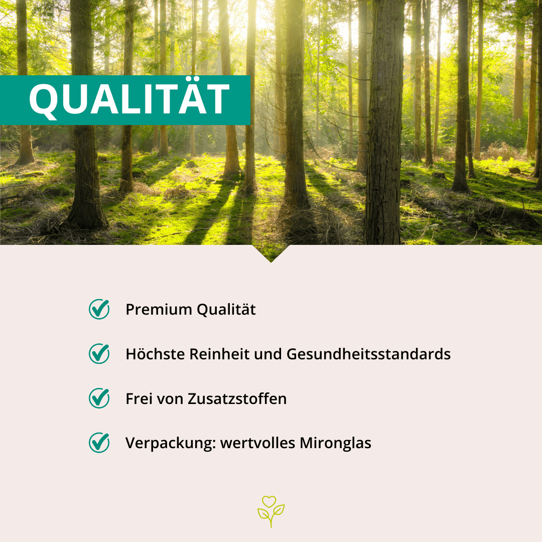 Leber Komplex 60 Kapseln