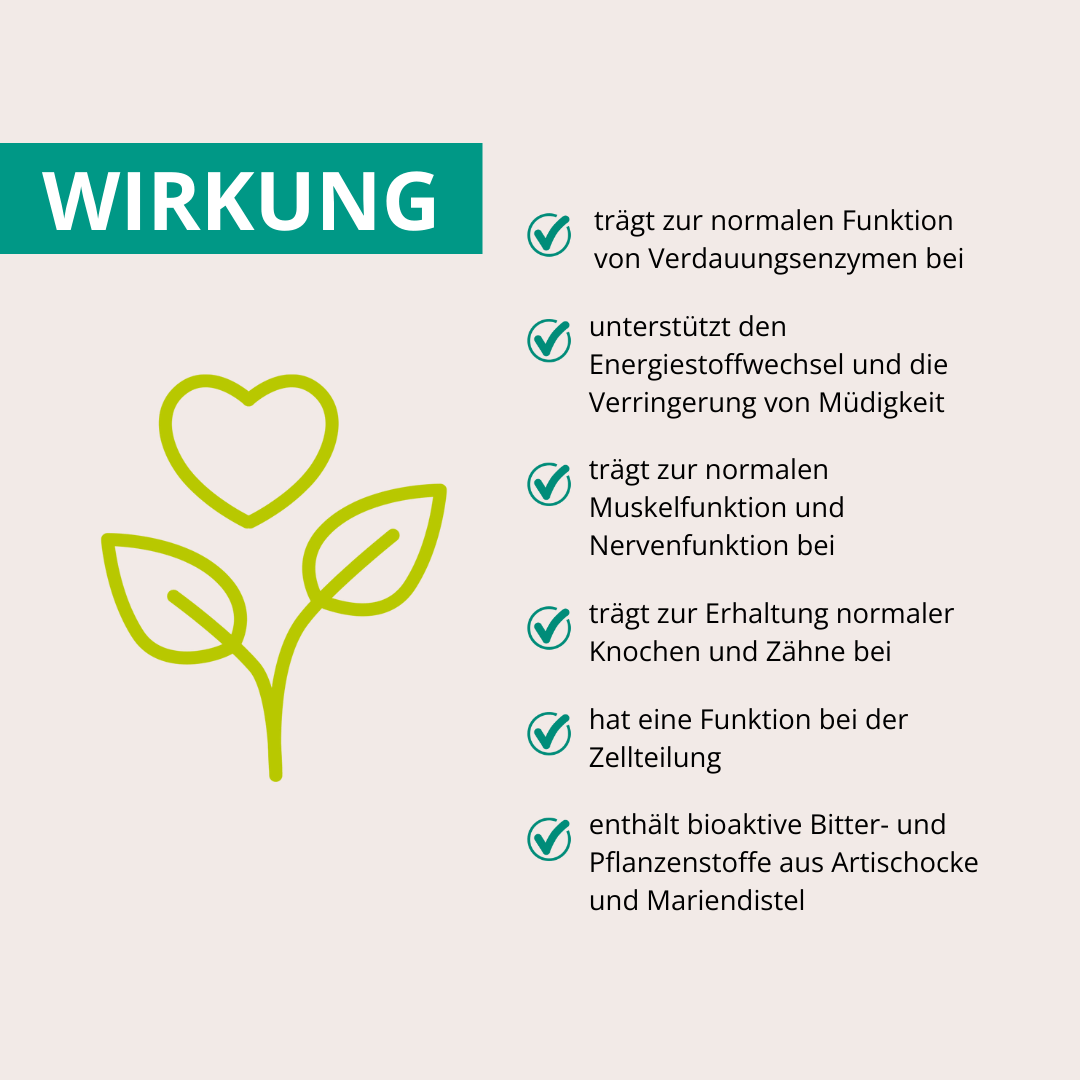 Leber Komplex 60 Kapseln