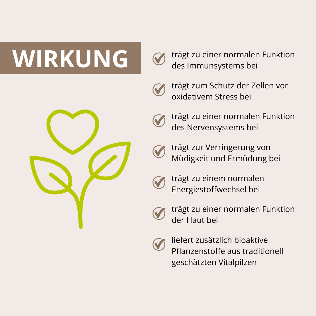 Vitalpilz Immun Spin