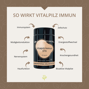 Vitalpilz Immun Spin