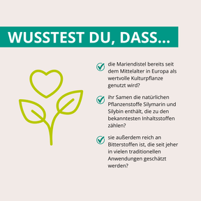 Mariendistel Extrakt 500mg