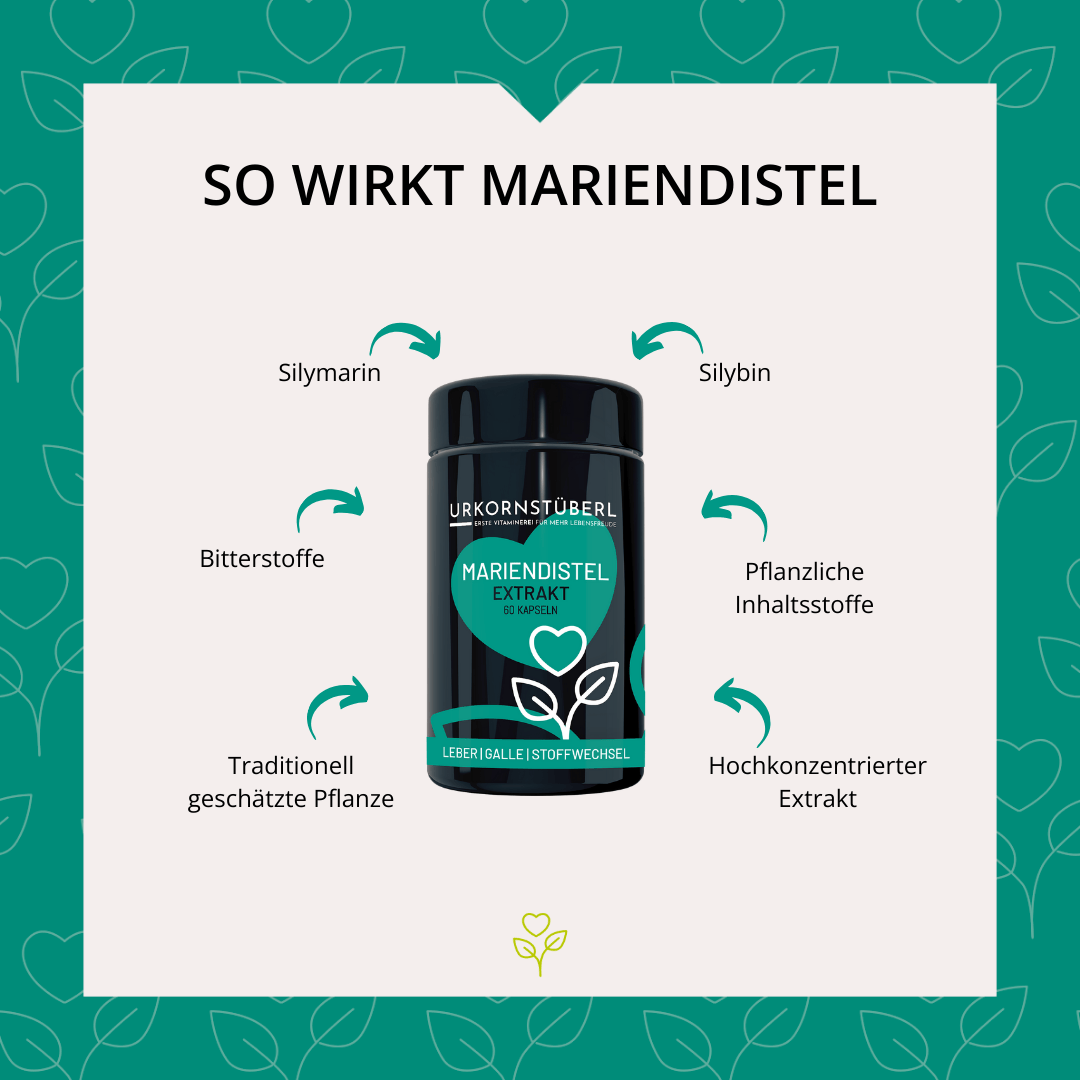 Mariendistel Extrakt 500mg