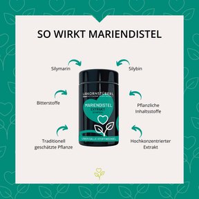 Mariendistel Extrakt 500mg