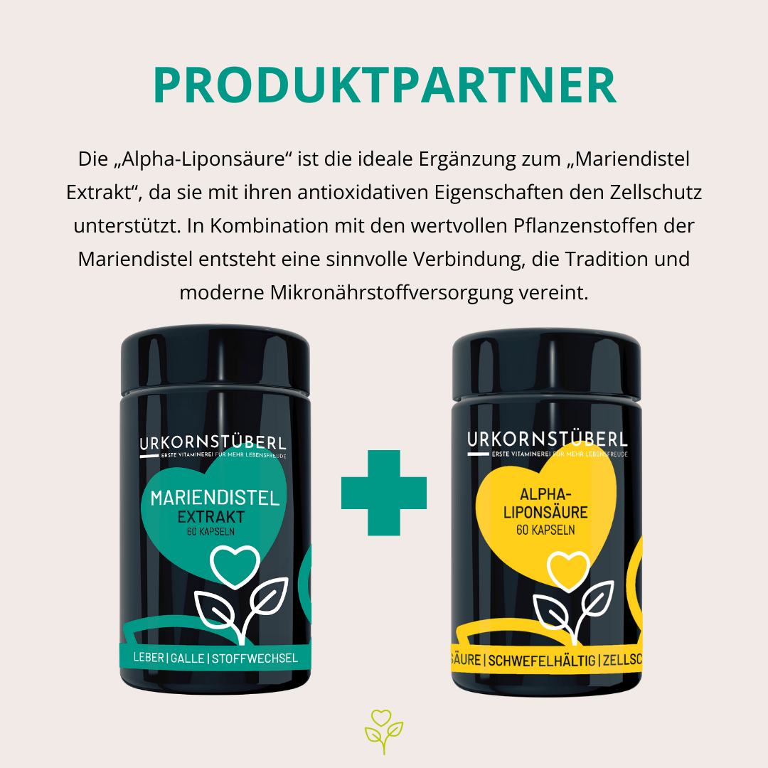 Mariendistel Extrakt 500mg