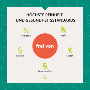 Mariendistel Extrakt 500mg