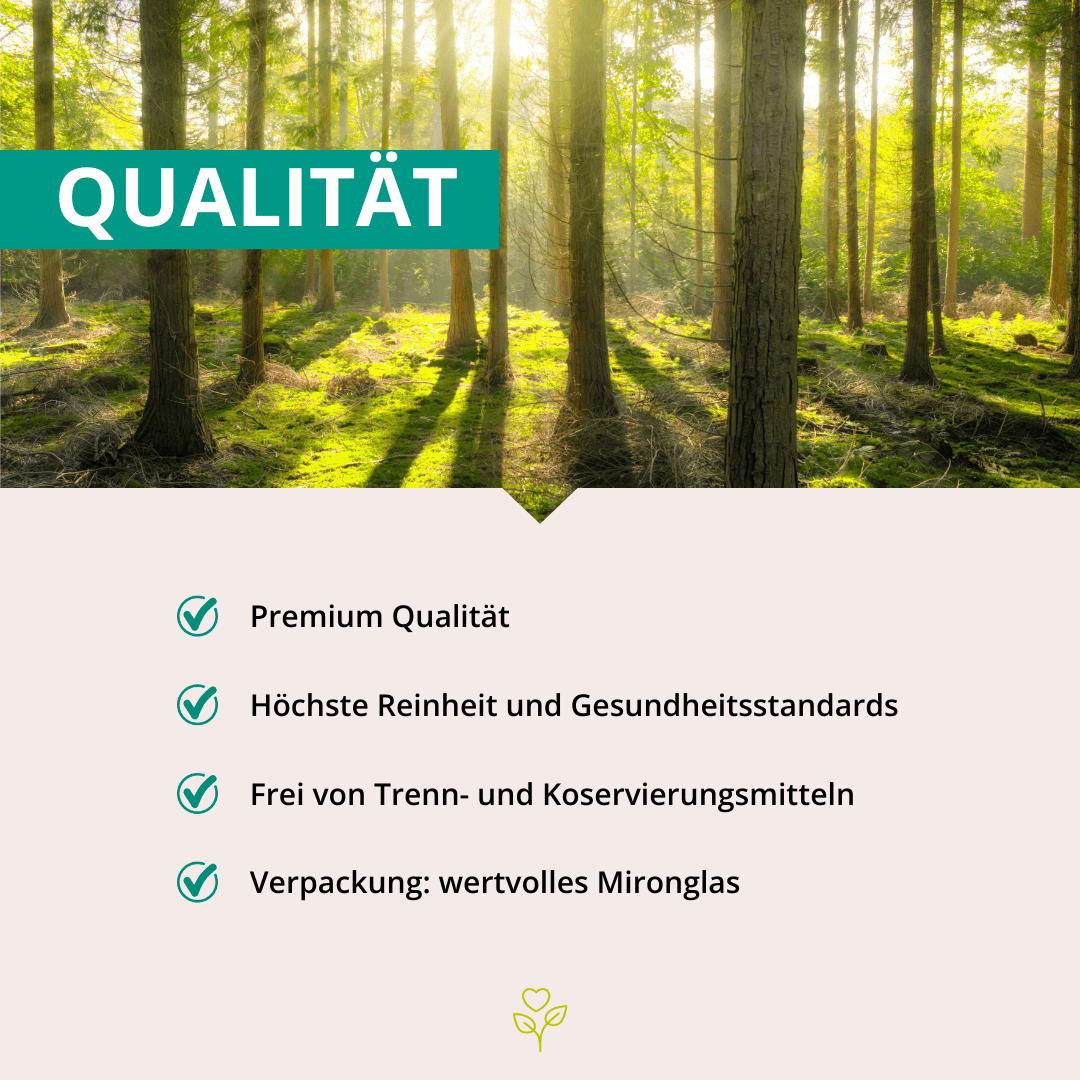 Mariendistel Extrakt 500mg