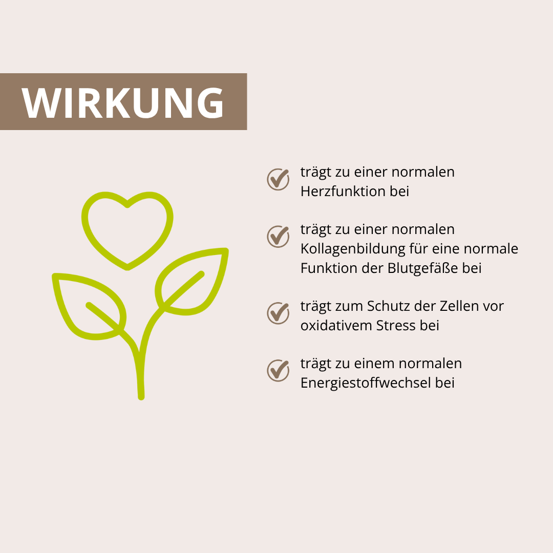 Herz-Kreislauf Vitalpilz-Komplex+ 60 Kapseln