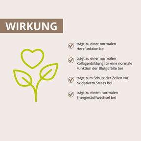 Herz-Kreislauf Vitalpilz-Komplex+ 60 Kapseln