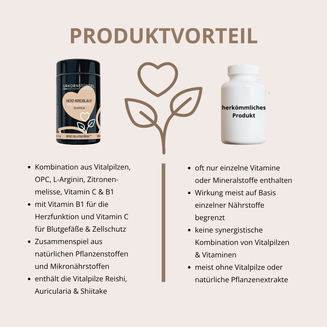 Herz-Kreislauf Vitalpilz-Komplex+ 60 Kapseln