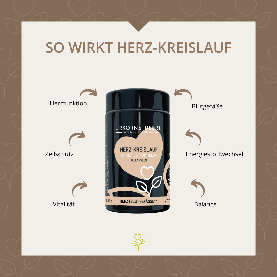Herz-Kreislauf Vitalpilz-Komplex+ 60 Kapseln