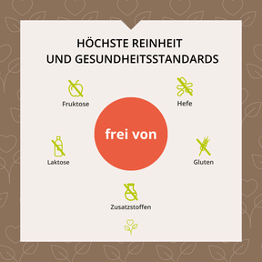 Herz-Kreislauf Vitalpilz-Komplex+ 60 Kapseln