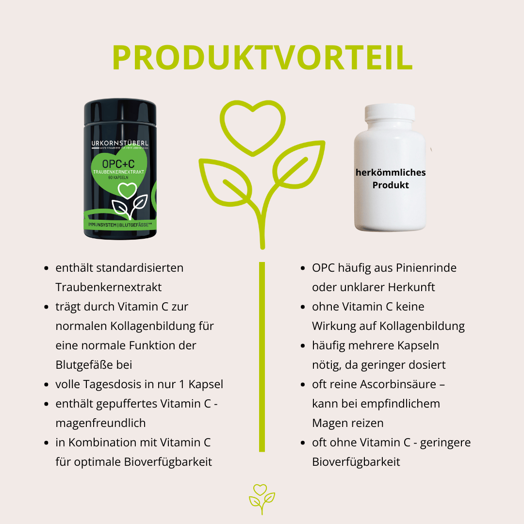 OPC+C Traubenkernextrakt 60 Kapseln