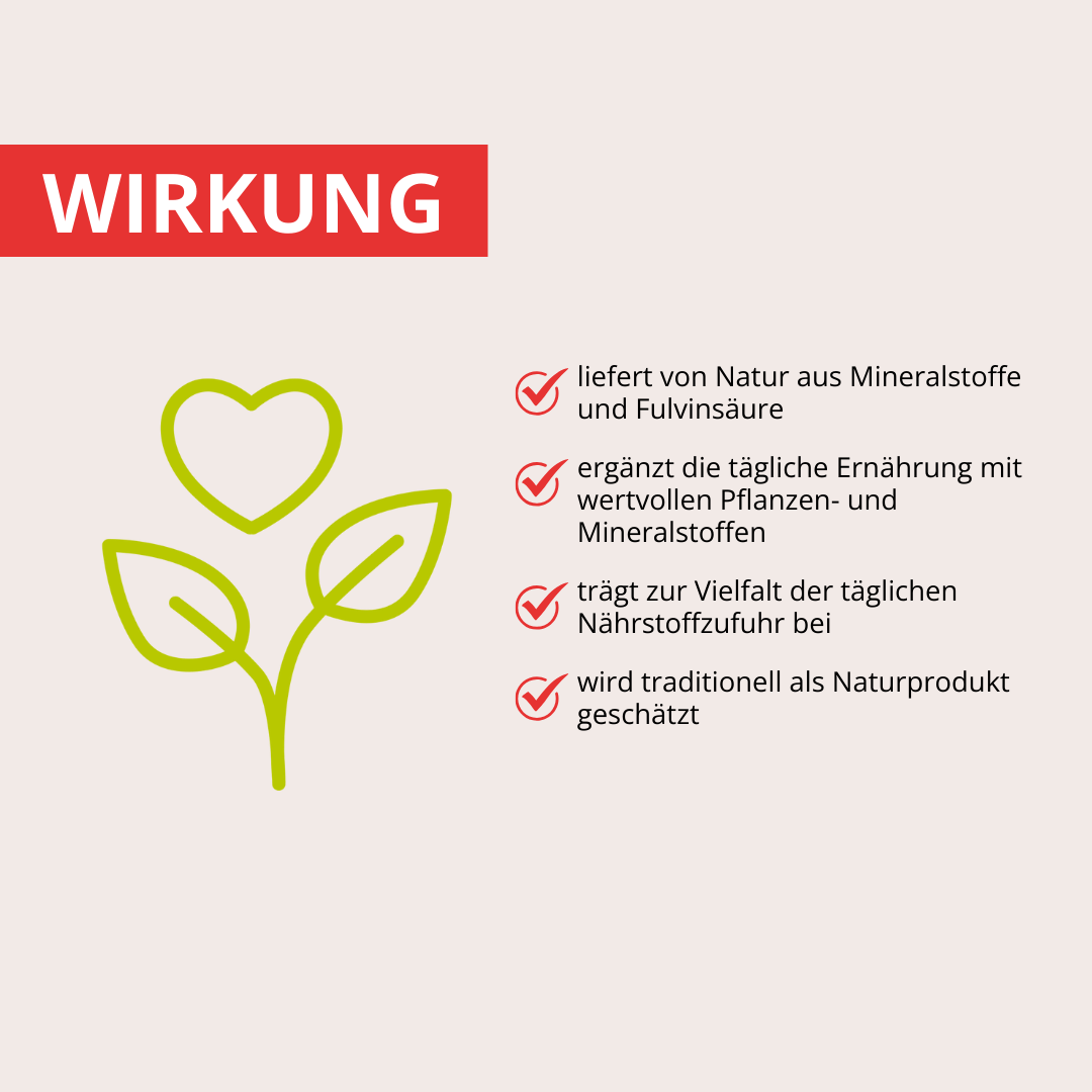 Shilajit für Heldinnen & Helden 60 Kapseln