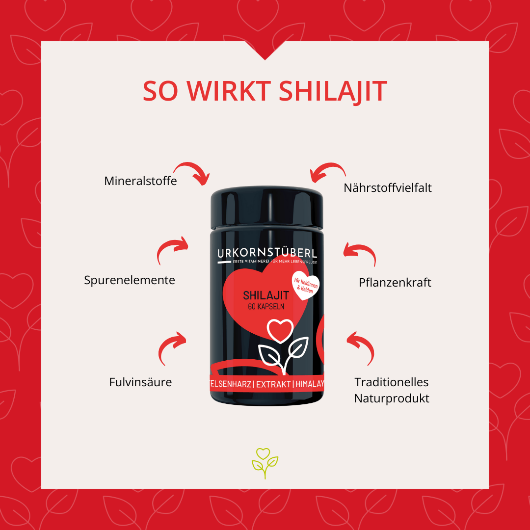 Shilajit für Heldinnen & Helden 60 Kapseln