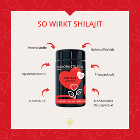Shilajit für Heldinnen & Helden 60 Kapseln