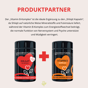 Shilajit für Heldinnen & Helden 60 Kapseln