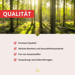 Shilajit für Heldinnen & Helden 60 Kapseln