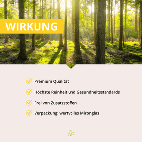 Alpha-Liponsäure 60 Kapseln