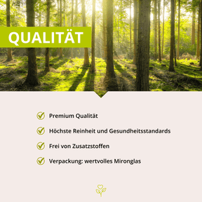 CoQ10 Energie+ 60 Kapseln